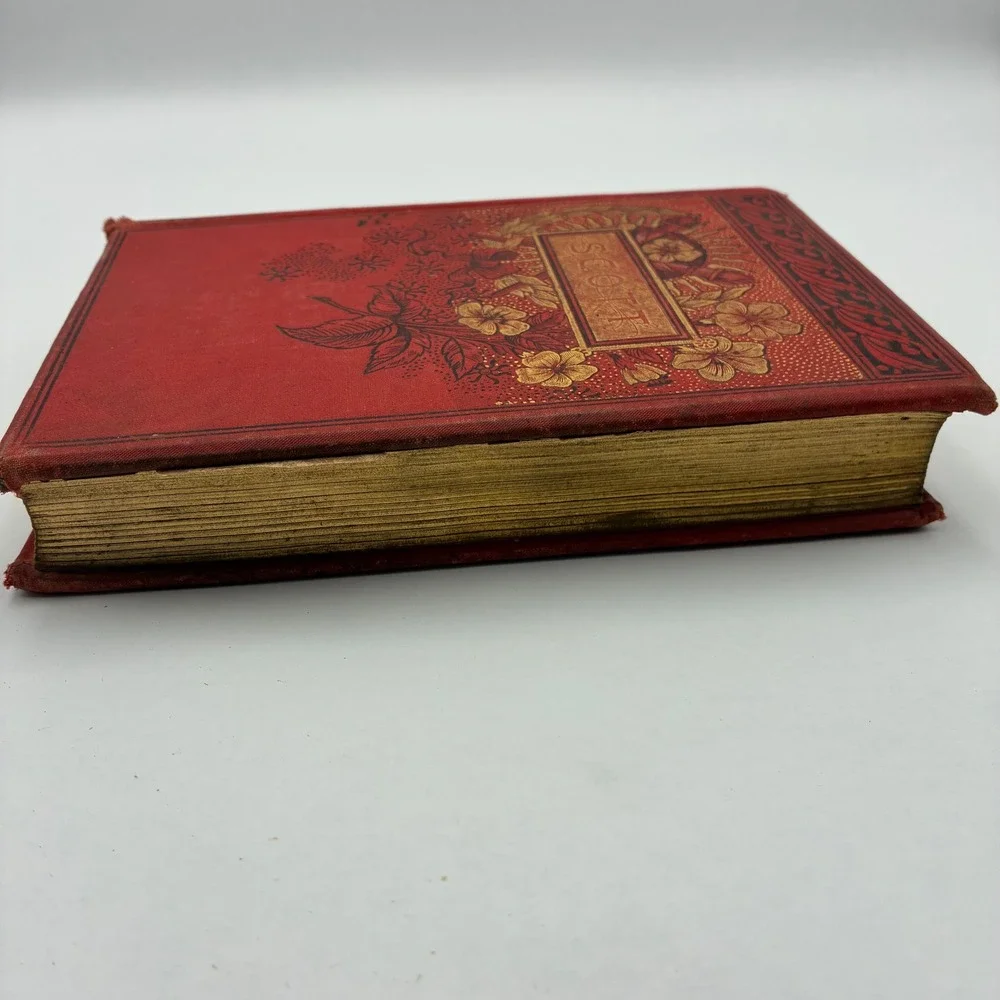 Antique The Poetical Works of Sir Walter Scott Hurst & Co Red Gilt Floral 1887
